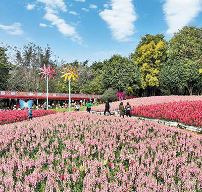 cff8d308-a356-4525-82a8-dcfe0a1e2e34.jpg cff8d308-a356-4525-82a8-dcfe0a1e2e34.jpg