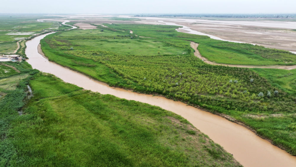 这是2025年6月22日在宁夏平罗县境内拍摄的黄河滩涂湿地（无人机照片）。新华社记者 王鹏 摄.jpg